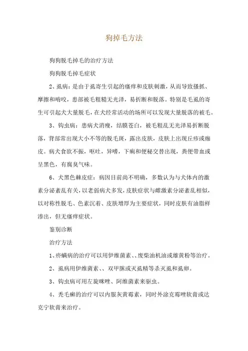 狗掉毛方法