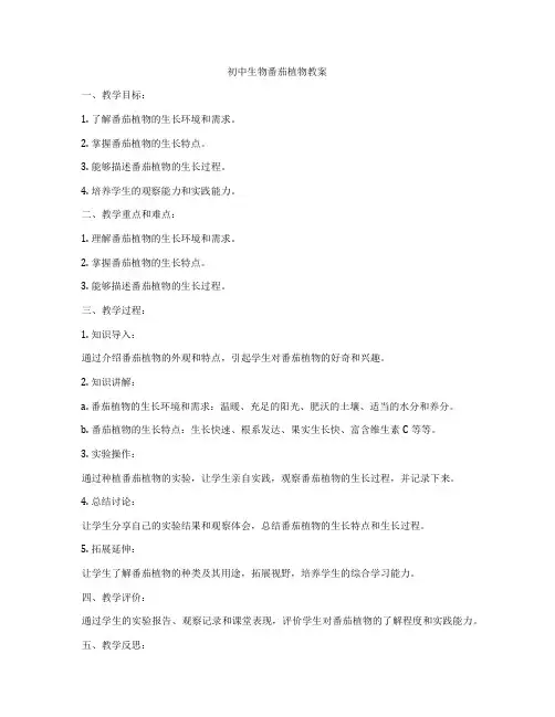 初中生物番茄植物教案