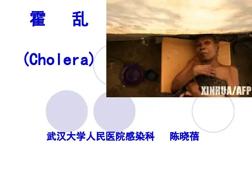 霍乱ppt幻灯片1