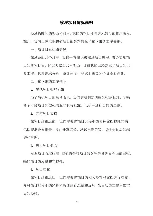 收尾项目情况说明