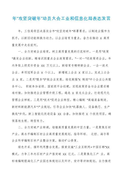 年“攻坚突破年”动员大会工业和信息化局表态发言