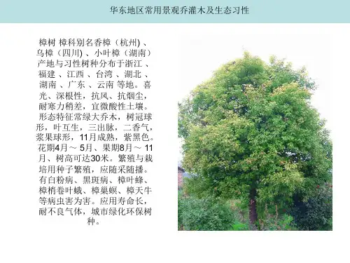 华东地区常用景观乔灌木及生态习性