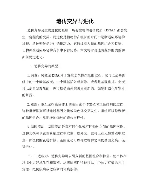 遗传变异与进化