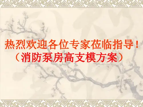 消防泵房高支模方案专家论证时汇报材料