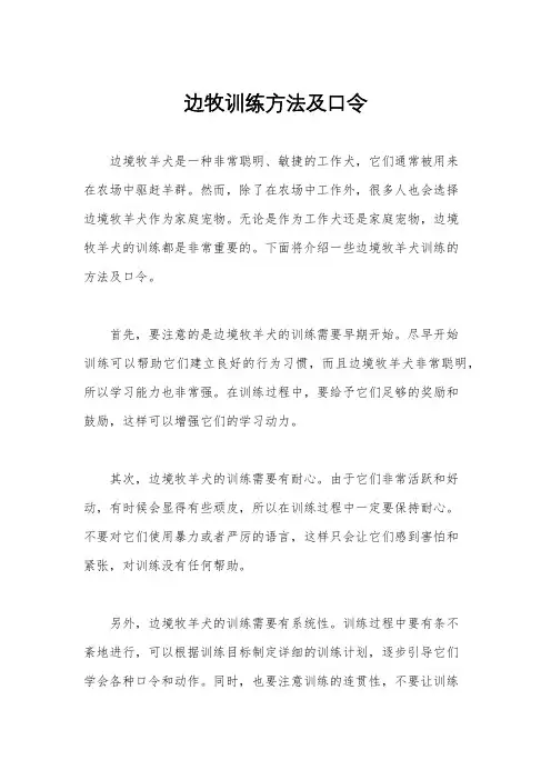 边牧训练方法及口令