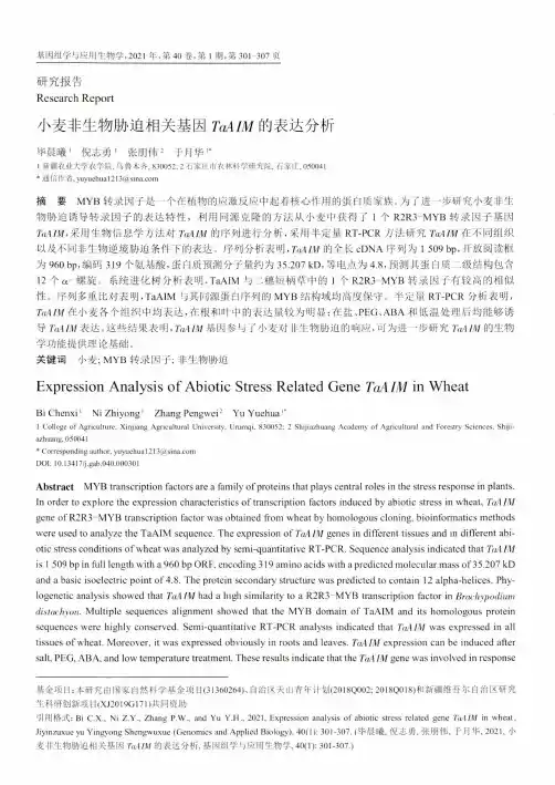 小麦非生物胁迫相关基因TaAIM的表达分析