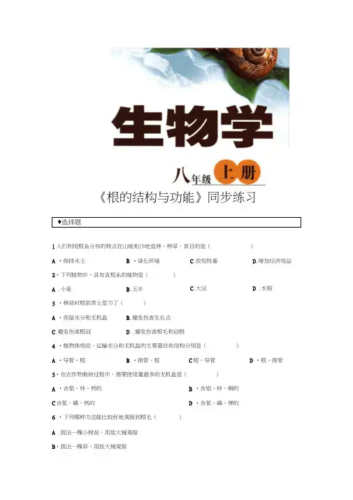 《根的结构与功能》
