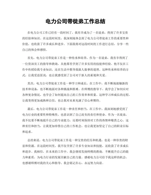 电力公司带徒弟工作总结