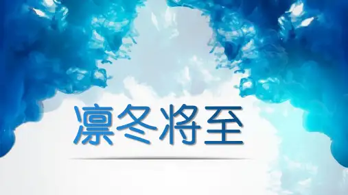 公共政策与公共管理案例 - 共享单车的兴衰