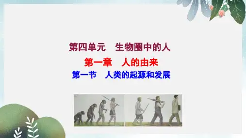 七年级生物下册 第四单元 生物圈中的人 第一章 人的由来 1 人类的起源和发展教学课件 新人教版