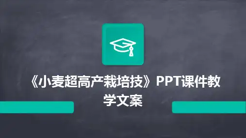 《小麦超高产栽培技》PPT课件教学文案