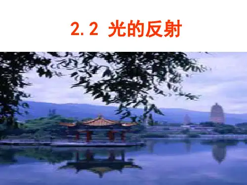 光的反射PPT课件(人教版)