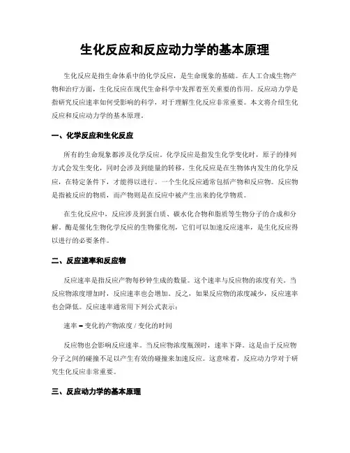 生化反应和反应动力学的基本原理