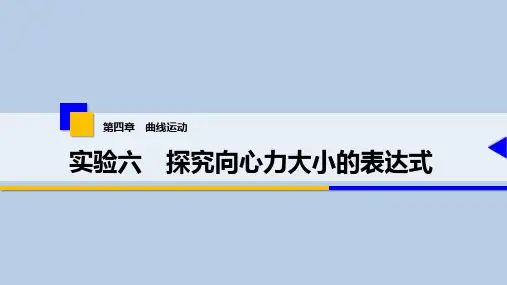 21 第四章 实验六 探究向心力大小的表达式