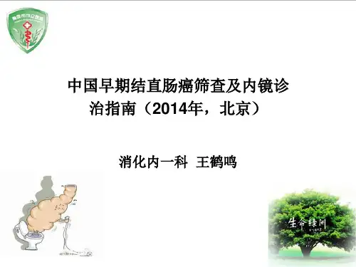 中国早期结直肠癌筛查及内镜诊治指南(2014年-北京)上课讲义