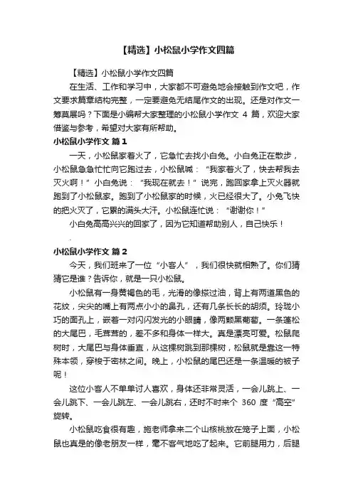 【精选】小松鼠小学作文四篇