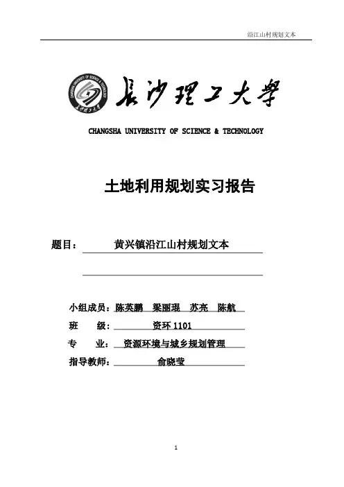 沿江村规划文本--土地利用规划实习报告