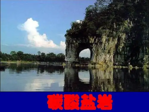 沉积岩第9章碳酸盐岩(孟庆泉 )