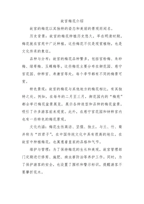 故宫梅花介绍