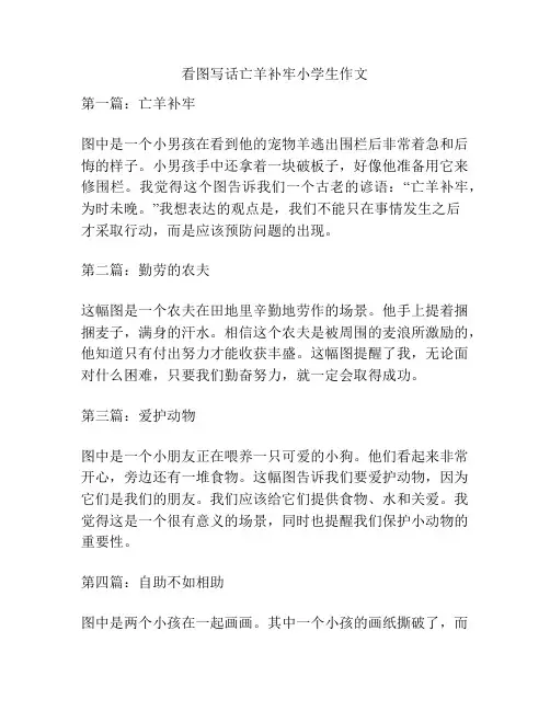 看图写话亡羊补牢小学生作文