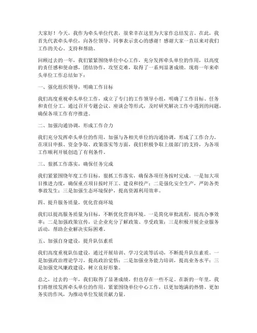 牵头单位的总结发言稿范文