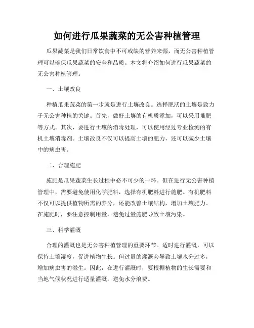 如何进行瓜果蔬菜的无公害种植管理