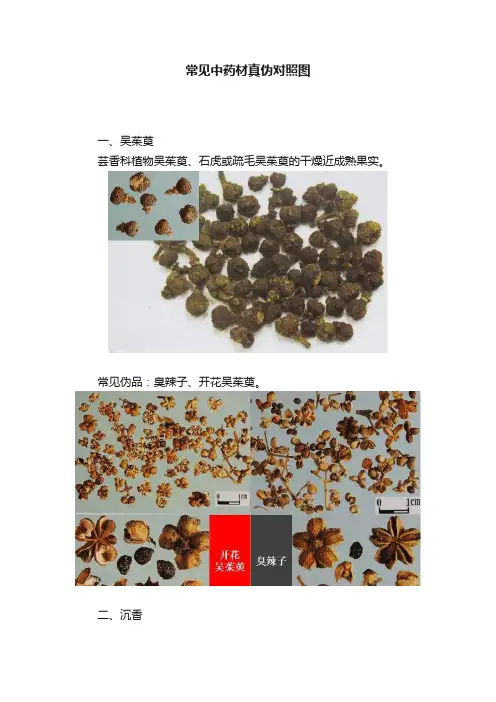 常见中药材真伪对照图