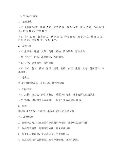 鸡伤寒的中药治疗方案