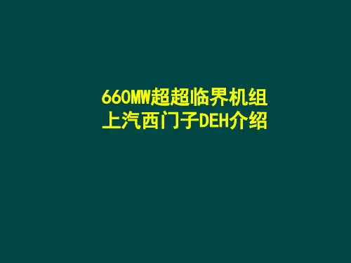 DEH培训课件