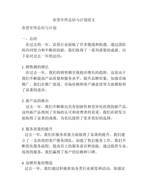 农资年终总结与计划范文