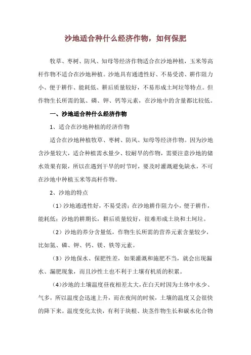 沙地适合种什么经济作物,如何保肥