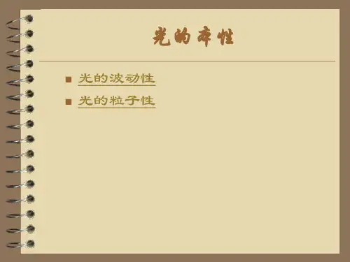 高三物理总复习光的本性.