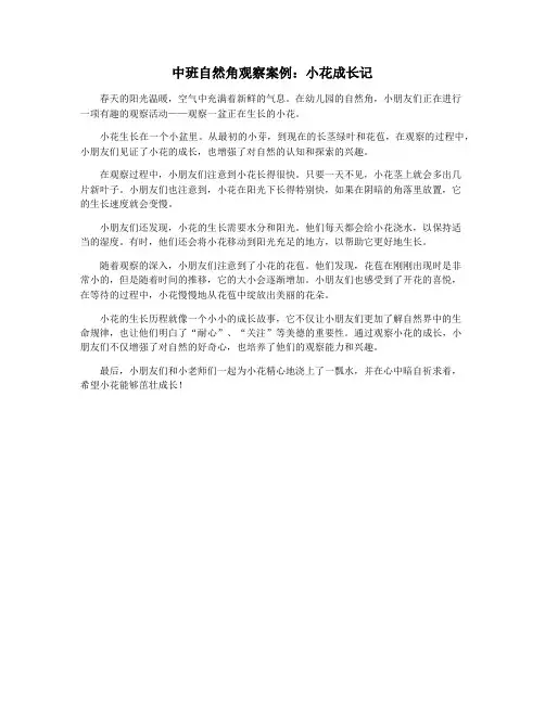 中班自然角观察案例：小花成长记