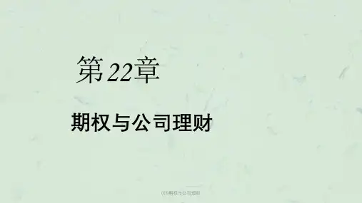 009期权与公司理财课件