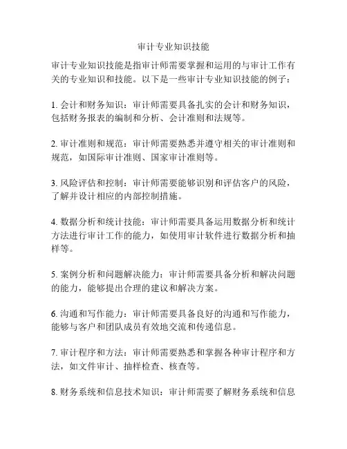 审计专业知识技能