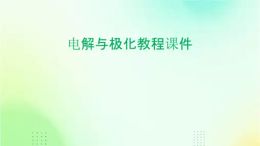 电解与极化教程课件
