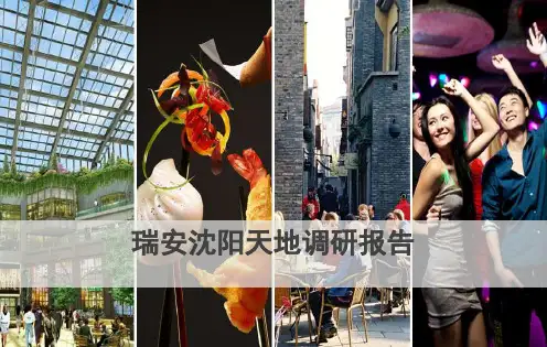 案例研究-文化商业-瑞安新天地市调报告