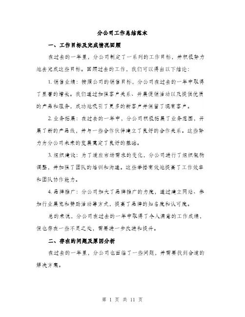 分公司工作总结范本