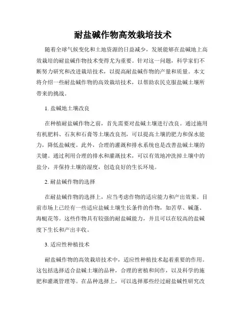 耐盐碱作物高效栽培技术