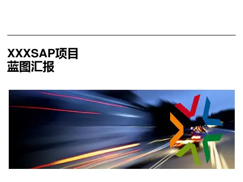 XX SAP _ERP一期业务蓝图汇报-SD-20120911_v1.2