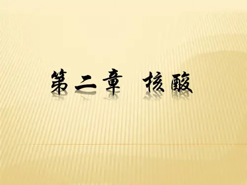 生物化学-核酸课件