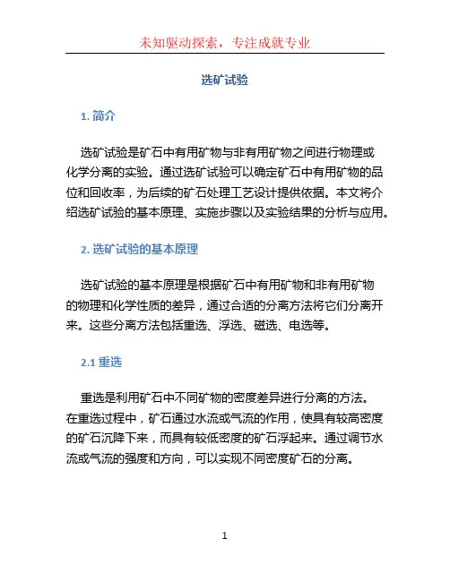 选矿试验文档