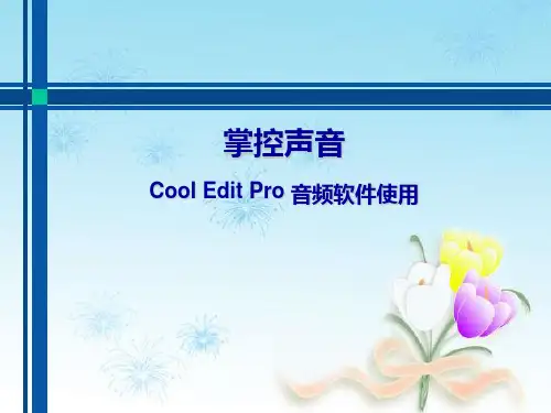 Cool Edit Pro使用培训