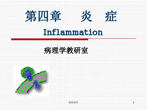 [病理学]炎症PPT课件