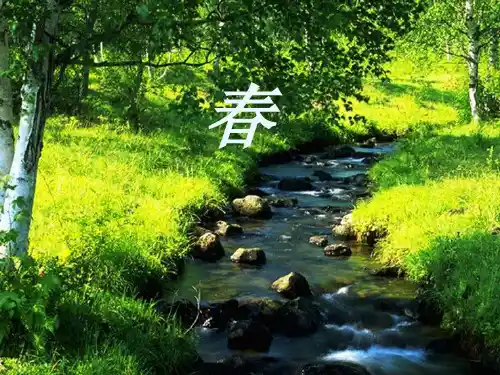 人教版部编七年级语文上册第一单元全部课件