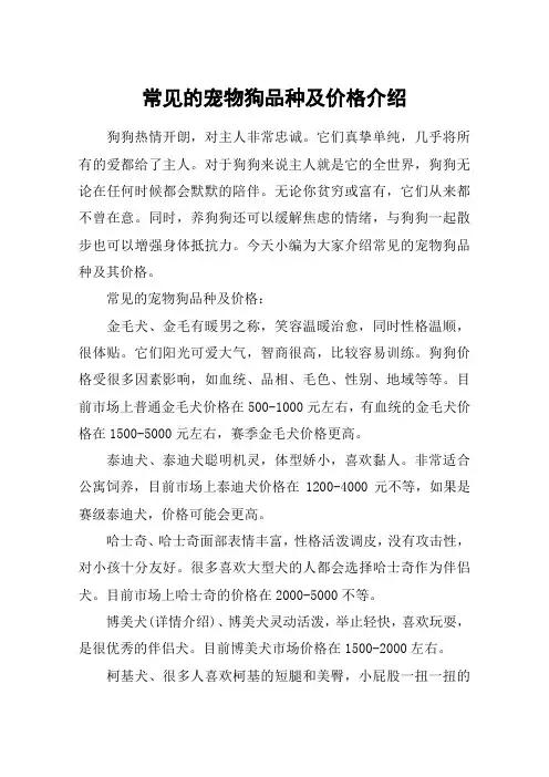 常见的宠物狗品种及价格介绍