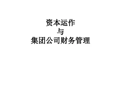 资本运作与集团财务管理(PPT 257页)