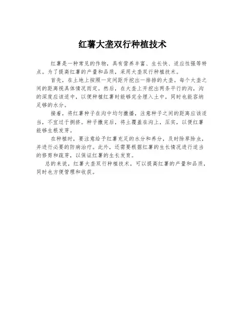 红薯大垄双行种植技术