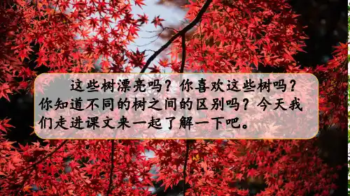 统编版语文二年级上册2 树之歌 (课件)