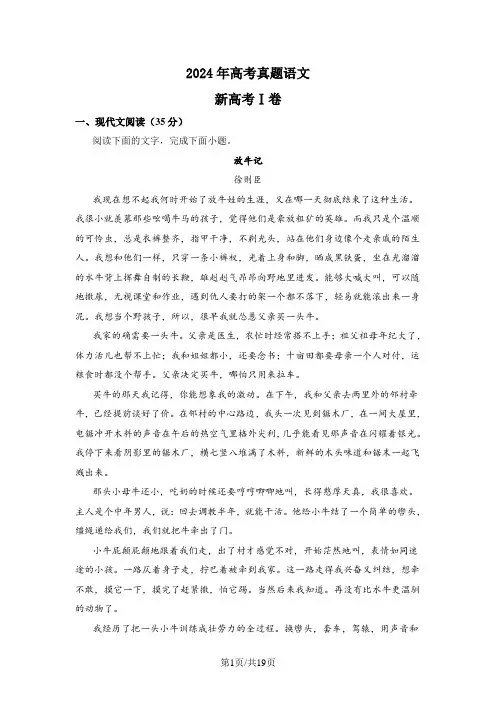 2024年高考真题 语文 新高考Ⅰ卷 含答案解析